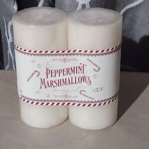 DW Home Peppermint Marshmallow Scented Pilar Candles Set Of 2